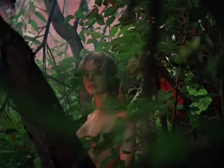 Парень случайно увидел в лесу голую девушку